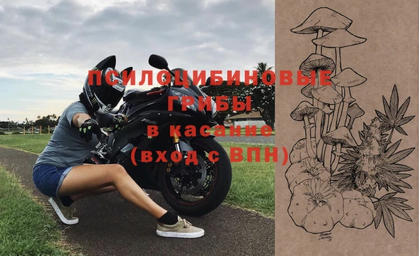 крисы Михайлов